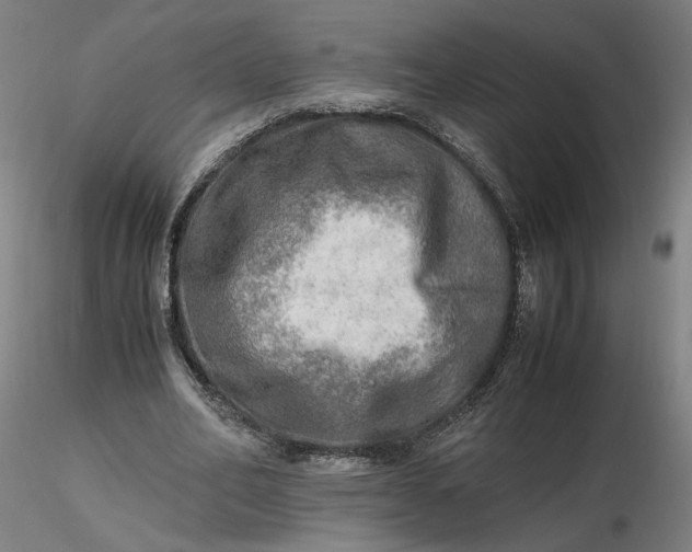 X0000116460582200912231403