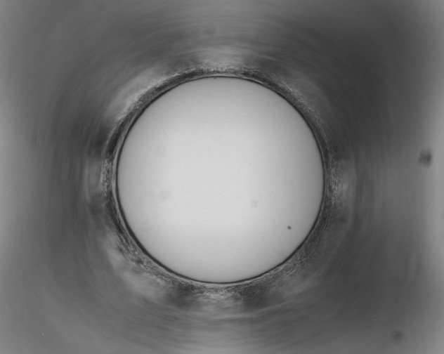 X0000116460583200912231403