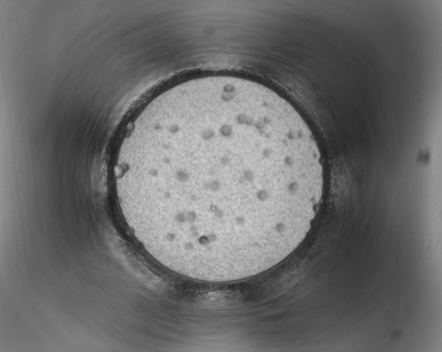 X0000116460584200912231403