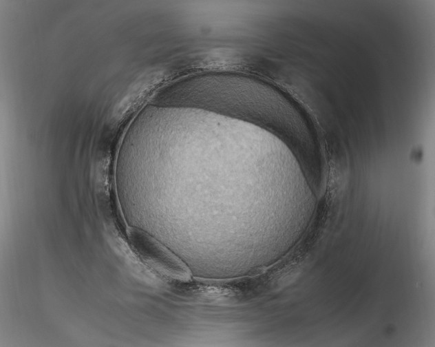 X0000116460585200912231403