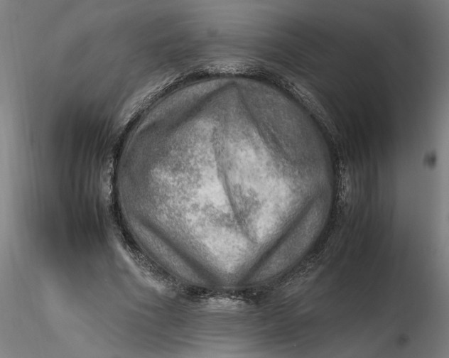 X0000116460586200912231403