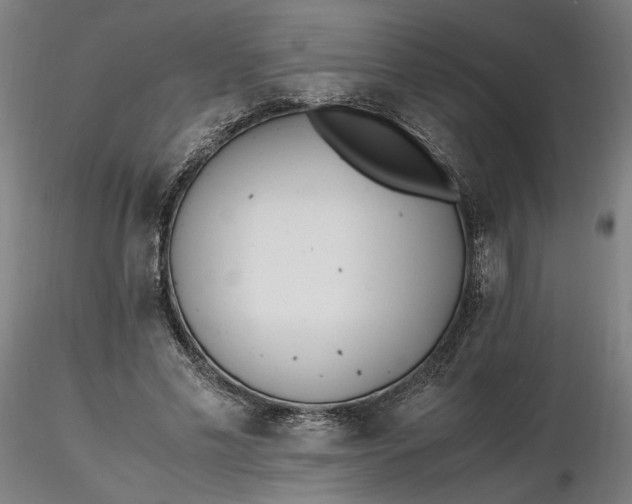 X0000116460589200912231402