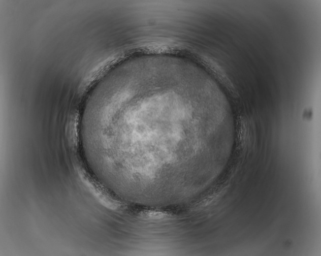 X0000116460590200912231402