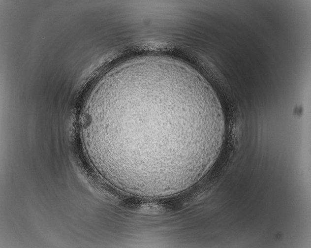 X0000116460591200912231402