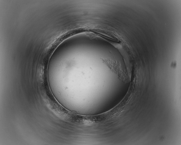 X0000116460592200912231402