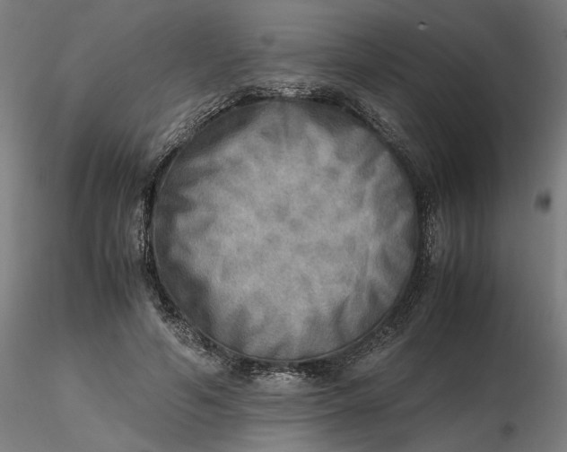 X0000116460594200912231402