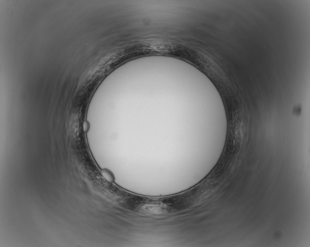 X0000116460595200912231402