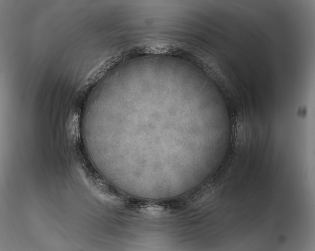 X0000116460598200912231402