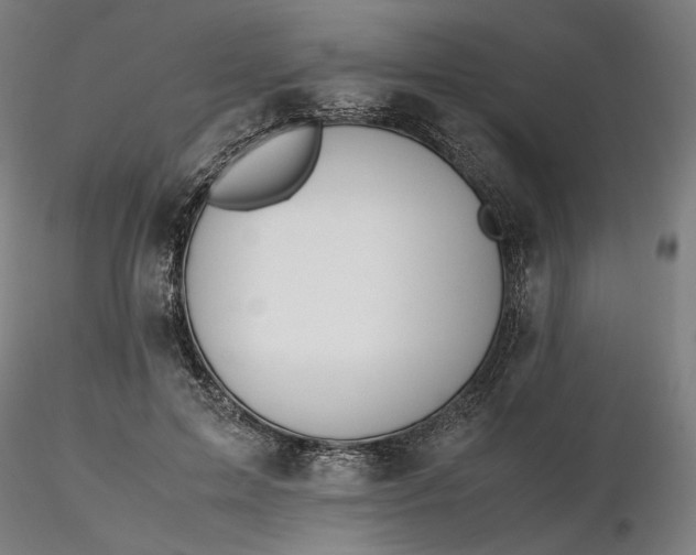 X0000116460599200912231402