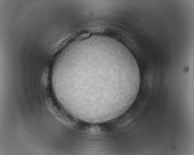 X0000116460600200912231402