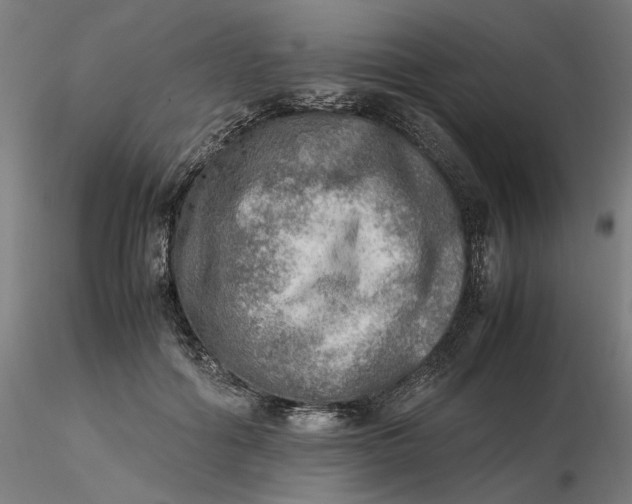 X0000116460602200912231402