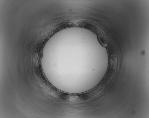 X0000116460605200912231402