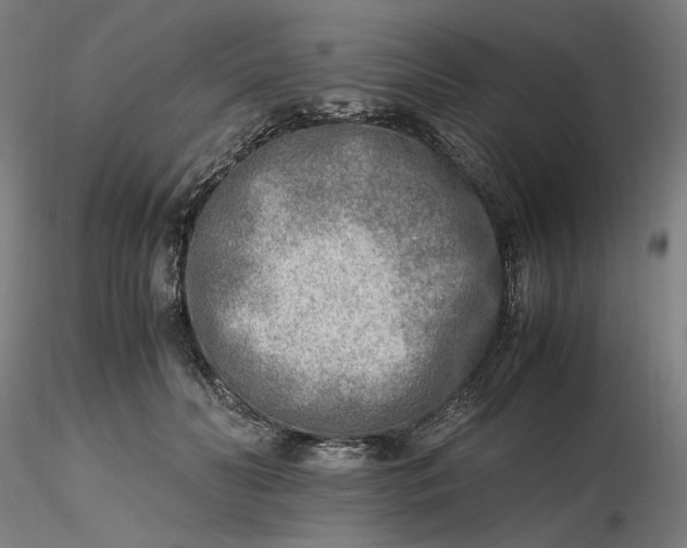 X0000116460606200912231402