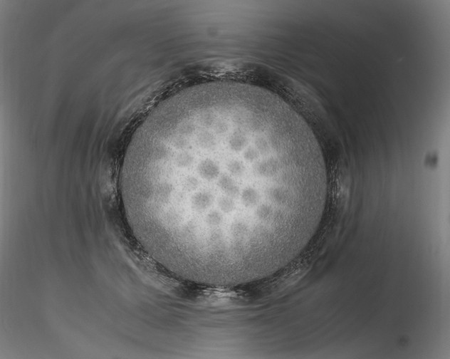 X0000116460607200912231402
