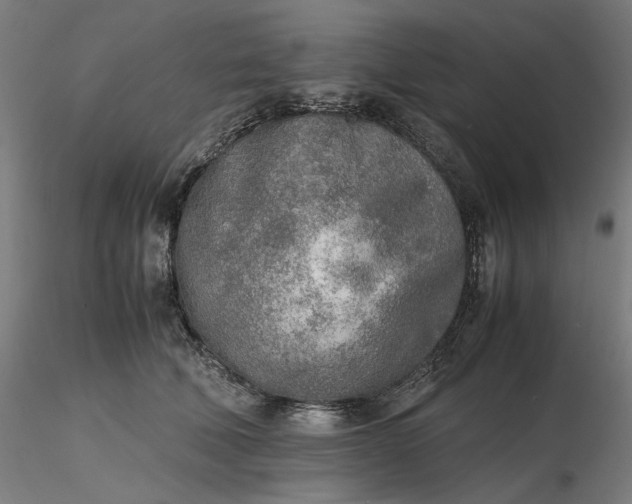 X0000116460610200912231402
