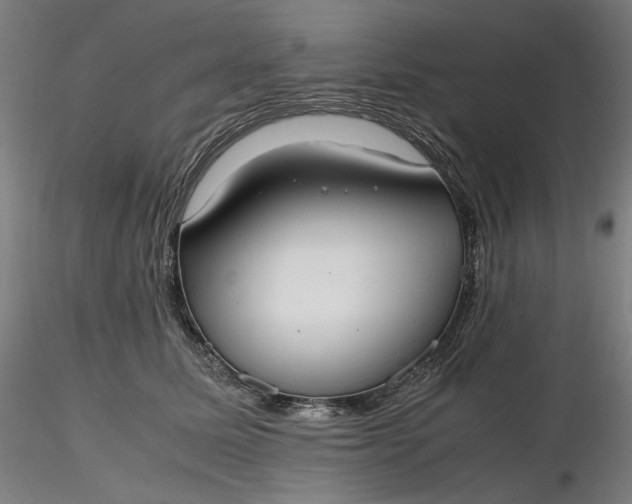 X0000116460611200912231402