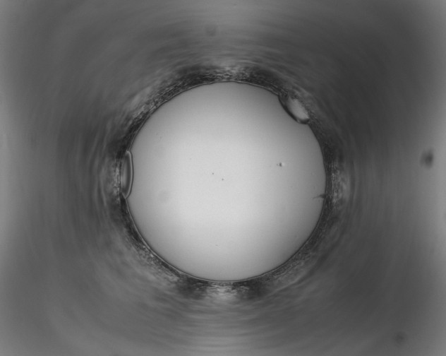 X0000116460613200912231402