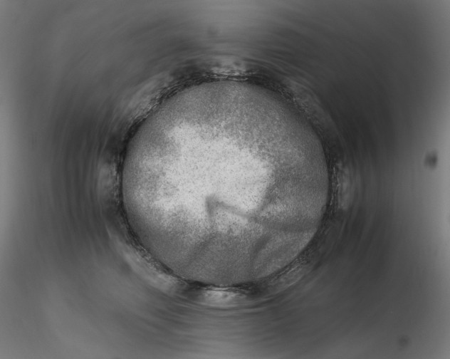 X0000116460614200912231402