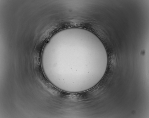 X0000116460615200912231402