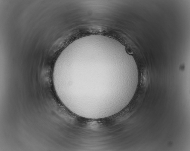 X0000116460616200912231402
