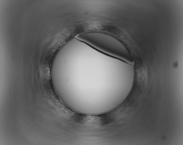 X0000116460617200912231402