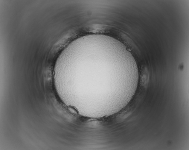 X0000116460620200912231402