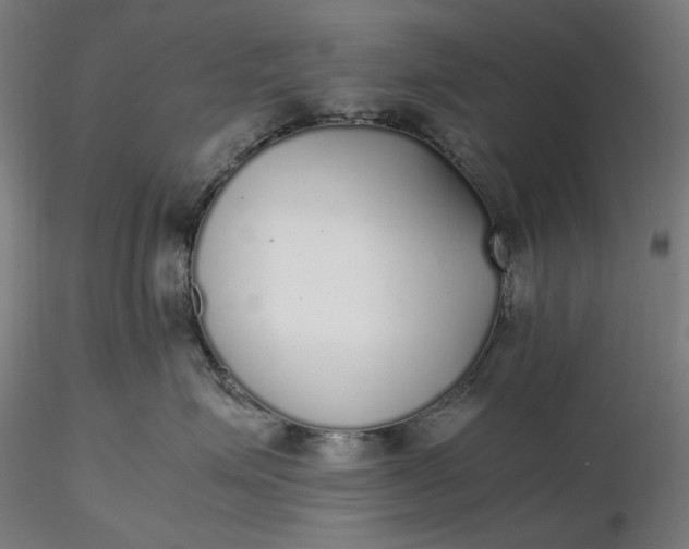 X0000116460623200912231402