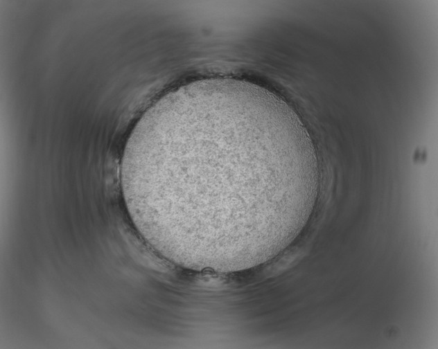 X0000116460624200912231402