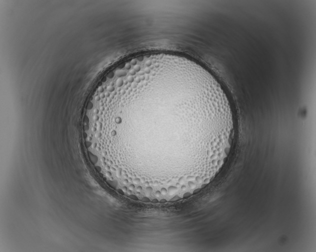 X0000116460625200912231401