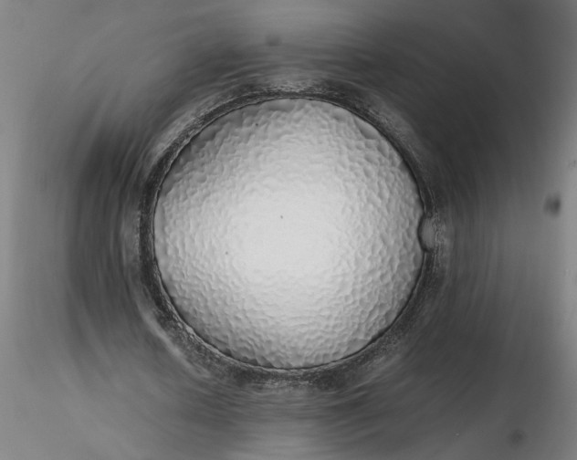 X0000116460626200912231401