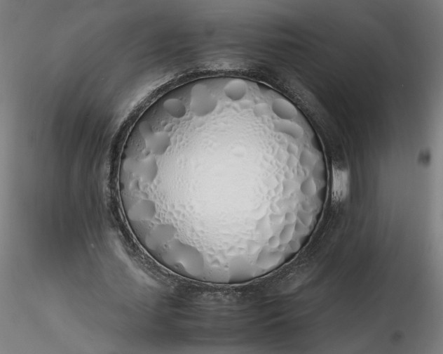 X0000116460627200912231401