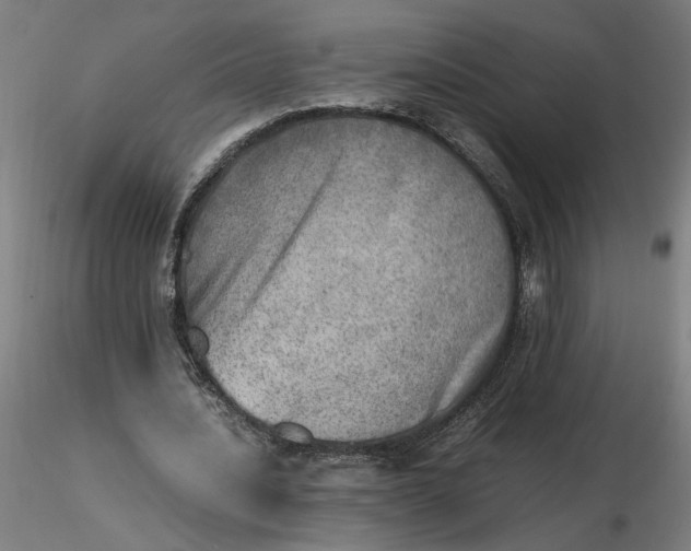 X0000116460628200912231401