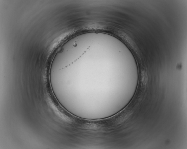 X0000116460629200912231401