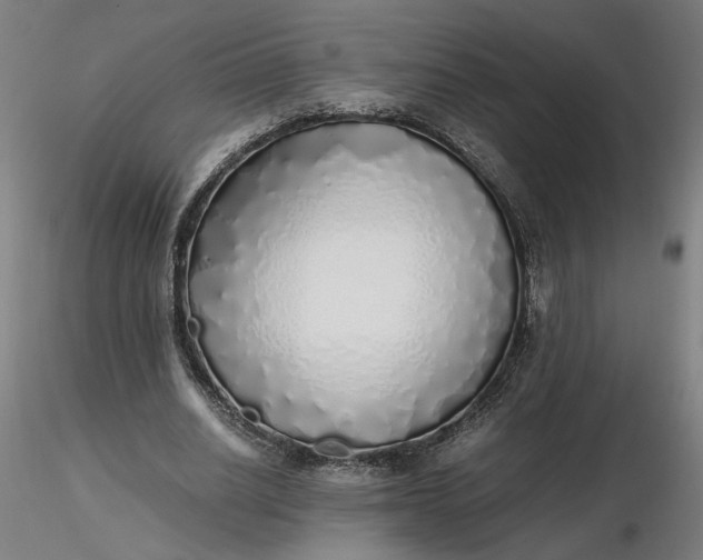 X0000116460630200912231401