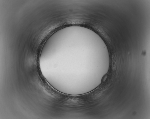 X0000116460631200912231401