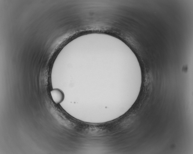 X0000116460632200912231401