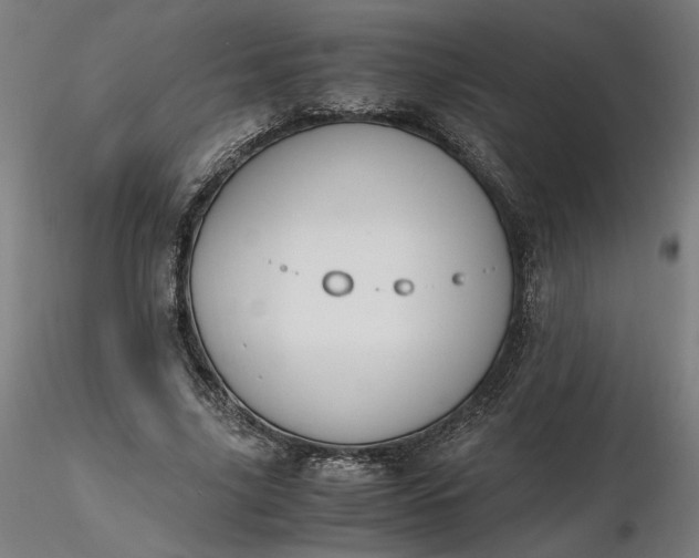 X0000116460635200912231401