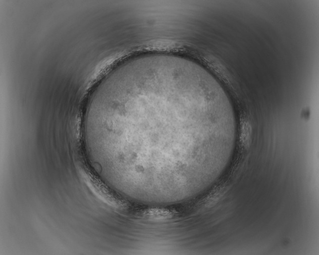 X0000116460636200912231401