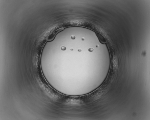 X0000116460637200912231401