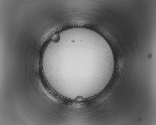X0000116460638200912231402