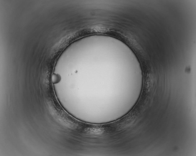 X0000116460639200912231402