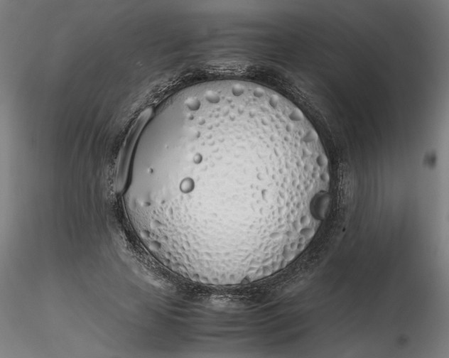 X0000116460641200912231402