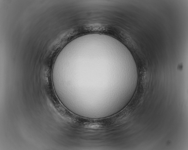 X0000116460643200912231402