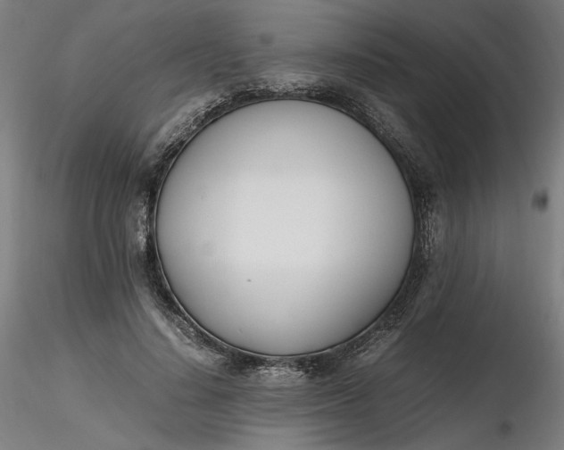 X0000116460644200912231402