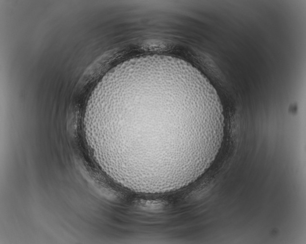 X0000116460645200912231402