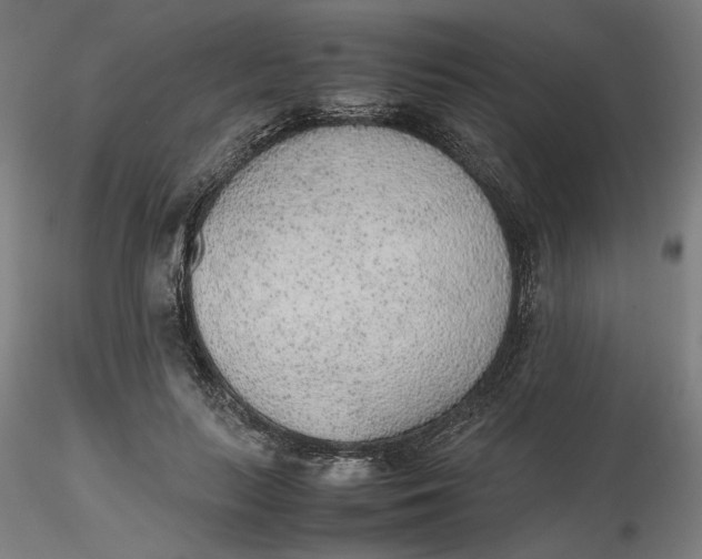 X0000116460647200912231402