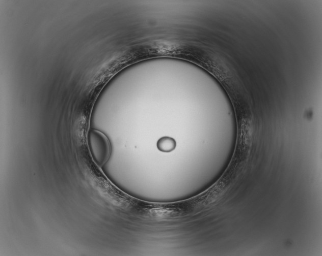 X0000116460650200912231402
