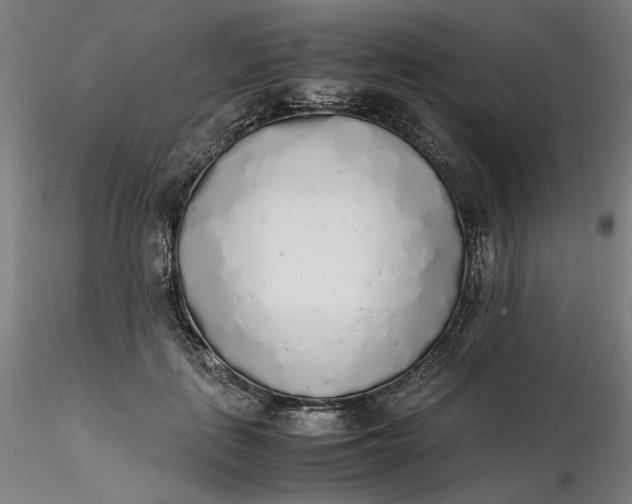 X0000116460651200912231402