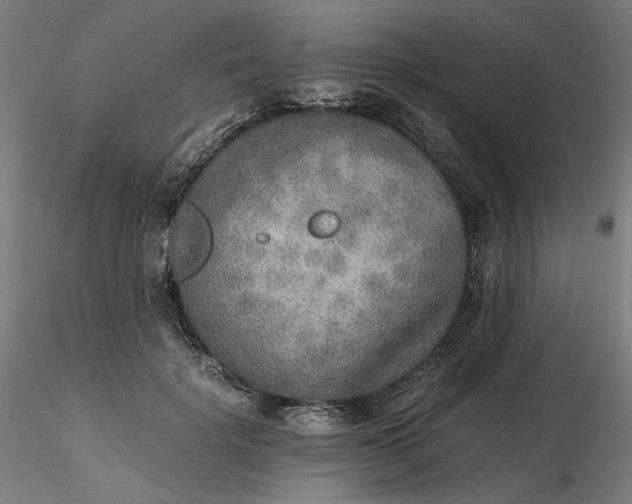 X0000116460652200912231402