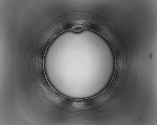 X0000116460653200912231402